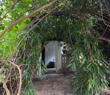 West Coast Division House | Jallo Kurundingoto Eco Tourist Camp