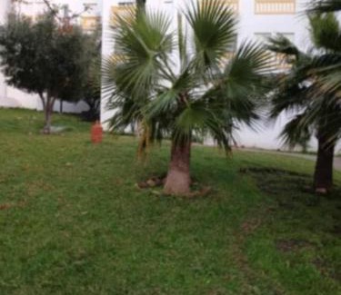 La Nouvelle Ville Ibn Batouta Apartment | Jardin latlantique