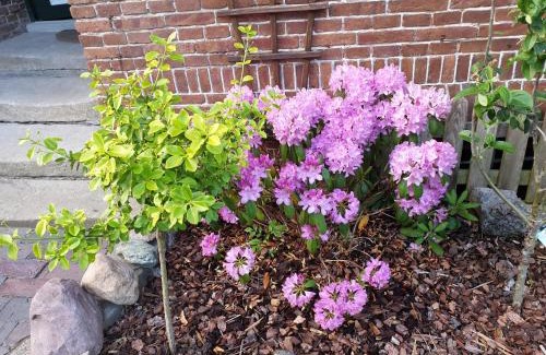 Bunde Apartment | Johannes Hof