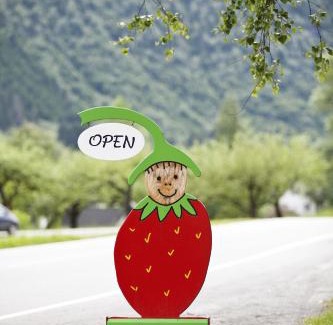 Valldal Bed & Breakfast | Jordbærstova Feriehus