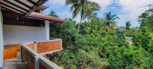 Dickwella House | Jungle Escape Hiriketiya