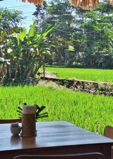 Sayan House | Jungle Hideaway Villas 1 - River Cafe
