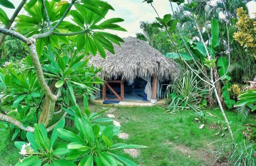 La Iglesia Other | Jungle Hut near Beach - Nature Lovers