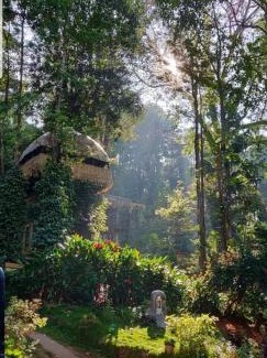 Devikolam House | Jungle Jive Treehouse and Farm house