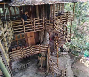 Devikolam House | Jungle Jive Treehouse and Farm house