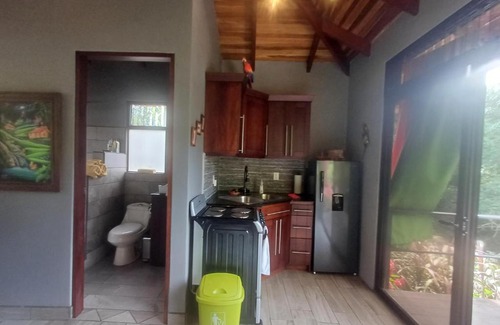 Escobal House | Jungle River