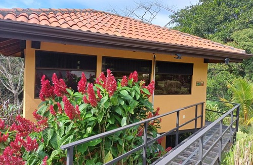 Escobal House | Jungle River