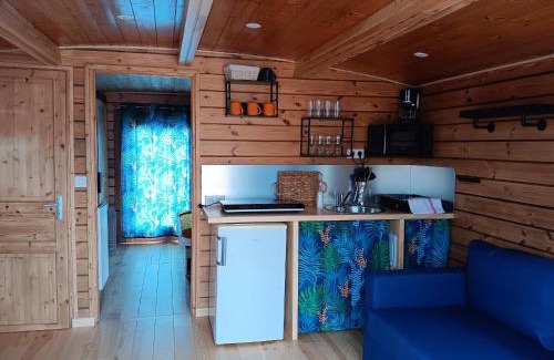 Digoin Boat Rental | Jupiter - API-1-46-26