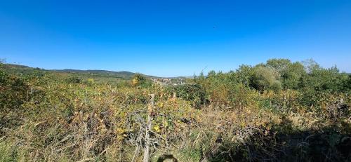 Svaty Jur Other | Jur Georgious