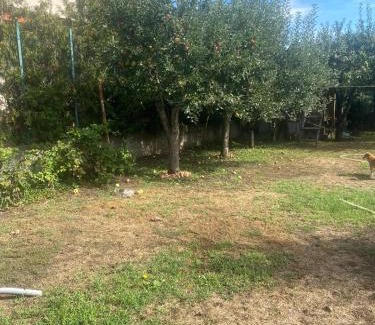 Tecuci House | Just like your home