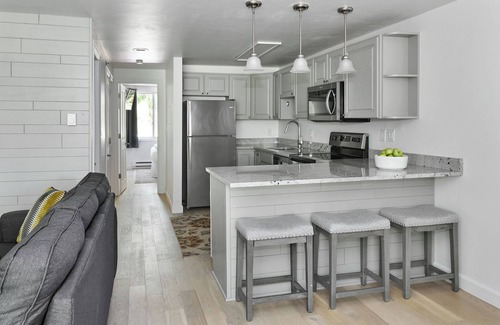 Snowmass Village Condo | Just off Fanny Hill - Completely renovated