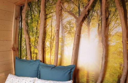 Samois-sur-Seine Other | Kabanéo - Gîte et Sauna- Samois sur Seine - Forêt de Fontainebleau