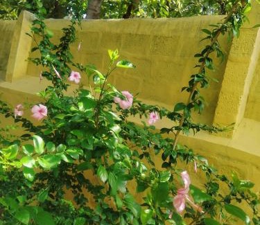 Kallidaikurichi Villa | Kallidai Home Stay