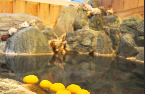 Higashiizu Hotel | Kamo-gun - Hotel / Vacation STAY 50723