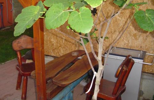 Sturovo House | Karavan Sturovo