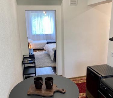 Antsla Parish Apartment | Karula Stay 1-Room Apartment