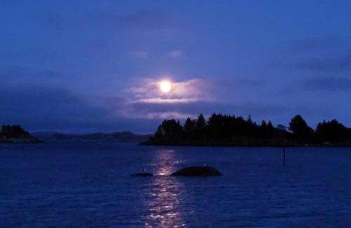 Austevoll House | Kassholmen, Bakkasund