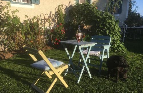 Sankt Martin im Sulmtal House | Kellerstoeckl-am-veganen-Bio-Lebenshof-nur-fuer-Hundefreunde-empfohlen