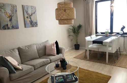 Kemi Apartment | Kemi city center 2 room and kitchen FREE PRIVATE PARKING