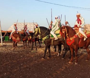 Ben Maachou Other | KHaIMA