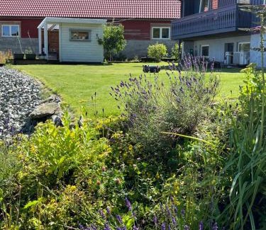 Strand House | Kjølevik