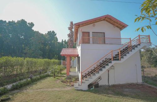 Bail Parao Resort | KK Jungle View Resort