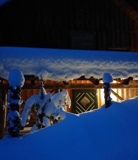 Pichl-Kainisch House | Knödl-Alm Waldhäusl