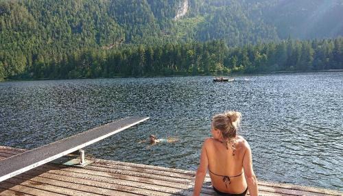 Pichl-Kainisch House | Knödl-Alm Waldhäusl