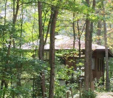 Kita Karuizawa House | KOMOREBI House -北軽井沢 木漏れ日の家- ペット可