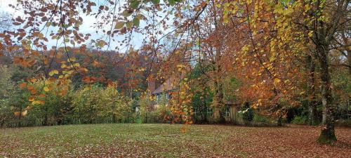 Thorsoe Bed & Breakfast | Kongsø Bed & Breakfast