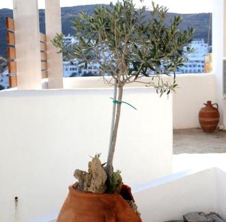 Merichas House | Kontseta