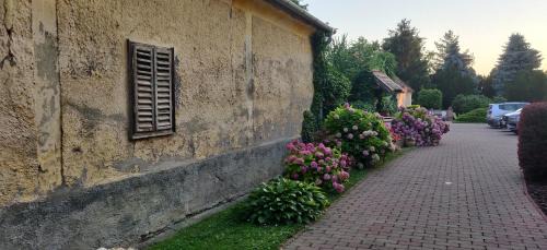 Balatonbereny Bed & Breakfast | Korona Panzió