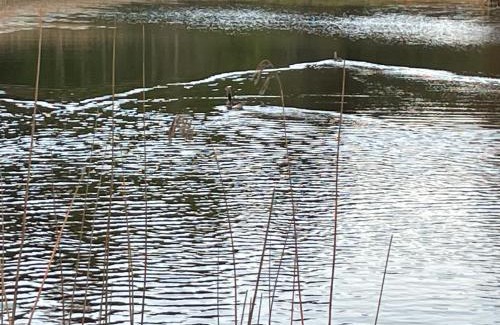 Sindal House | korsholt-natur B-B