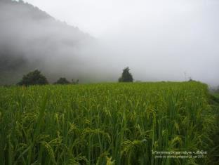 Mae Chaem House | KowitFarmstay