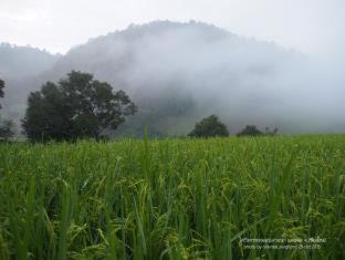 Mae Chaem House | KowitFarmstay