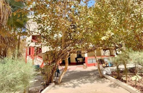 Gunjur Bed & Breakfast | Kuba Lodge