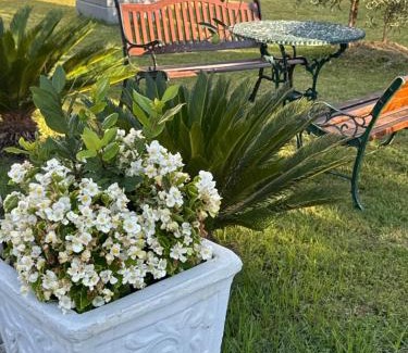 Sakës Apartment | KuneVain Guest House