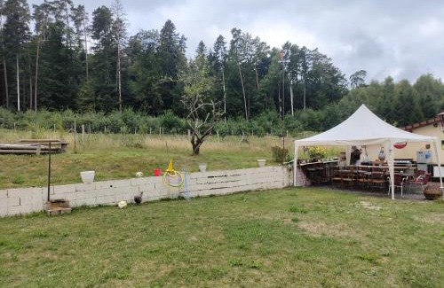 Raon-l'Etape House | l'Adapté