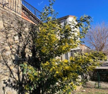 Pommiers House | L’aire vieille