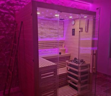 Veuzain-sur-Loire Apartment | L'audacieuse-Jacuzzi et sauna , miroir suspendu