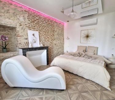 Veuzain-sur-Loire Apartment | L'audacieuse-Jacuzzi et sauna , miroir suspendu