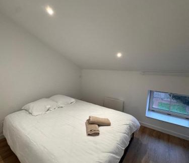 Pelussin Apartment | L'Emeraude By Clem