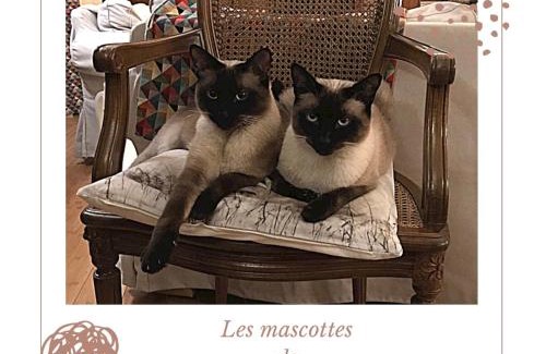 Maisons Bed & Breakfast | L ESCALE EN BEAUCE