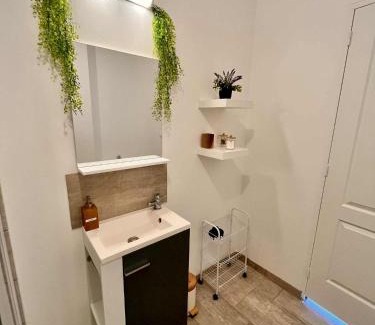 Quartier Saint-Clement - Jardin des Plantes Apartment | L'Orée du Jardin T3 parking