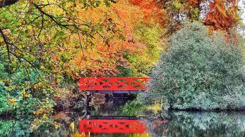 Bacilly House | L'Orangerie