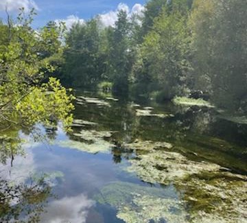Conie-Molitard House | L' otentic