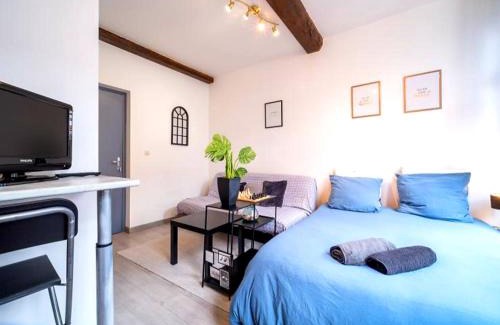 Lille Centre Ville Apartment | La belle niche