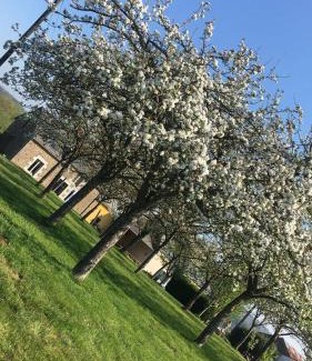 Saint-Laurent-de-Terregatte House | La Besnerais