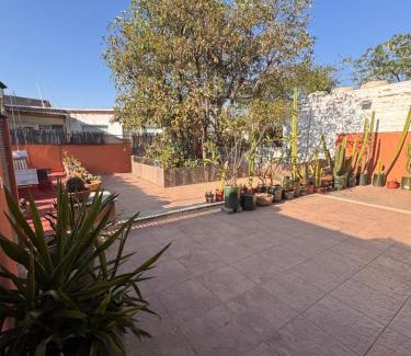 Ruta Independencia House | La Casa del Arbol