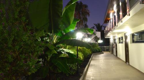 San Agustin Apartment | La Cataleya